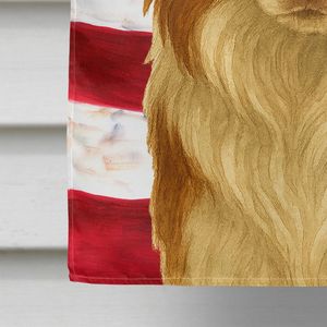 Grande bandiera multicolore in poliestere bandiera rossa bianca bordo Collie bandiera americana cortile Banner Artwork appeso a parete per la manica del portico - Product Image 4