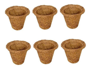 Macetas de Fibra de Coco Sostenibles para Viveros, Centros de Jardinería y Cultivo en Invernadero - Product Image 4