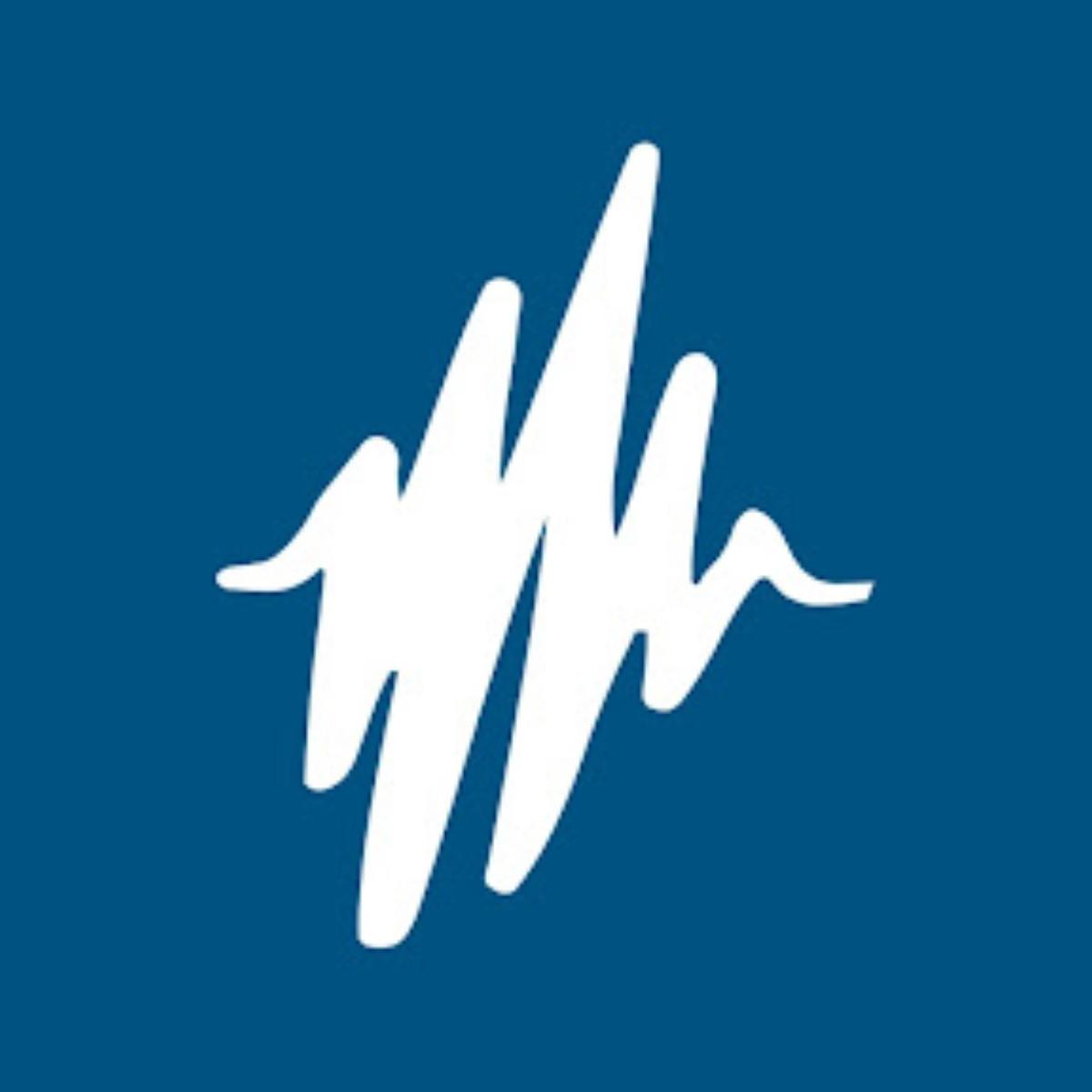 PULSAR INSTRUMENTS PLC logo