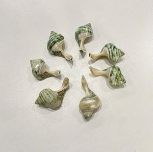 Reposapalillos Artesanal de Concha Marina Natural de Vietnam, Ecológico, Accesorio de Mesa para Restaurantes de Sushi - Product Image 5