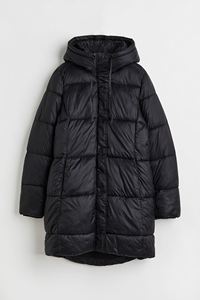 Plain Loose Dyed Embroidery Puffer <b>Jacket</b> Casual Thick Warm Waterproof Coat Cheap Price <b>Women</b> Streetwear Hooded Winter <b>jacket</b> - Product Image 2