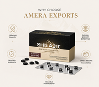 Comprimés de Shilajit Premium OEM/ODM Fabricant de compléments alimentaires à marque privée