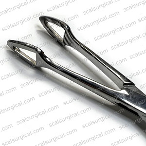 Pinzas Angulares Pennington de Alta Calidad para Perforaciones Corporales, Herramientas de Acero Inoxidable - Product Image 4