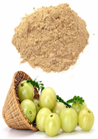Hoogwaardig puur Amla poeder, natuurlijk gedroogd fruit, kruiden Amla poeder, traditioneel Indiaas rauw Amla poeder voor gebruik in de keuken