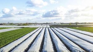 High Abrasion Resistant HDPE Tarpaulin 400 GSM for Heavy-Duty Commercial Applications - Product Image 5