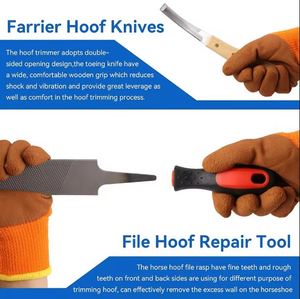 Instrumentos de Herrador de Acero Inoxidable de Grado Superior con Certificación CE Clase II, Incluye Alicates, Cortadores, Cuchillo y Lima para Pezuñas - Product Image 3