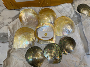 Black Yellow Shell Wholesales price Premium Polished Thick Mother of Pearl Shell Plate Material - Product Image 3