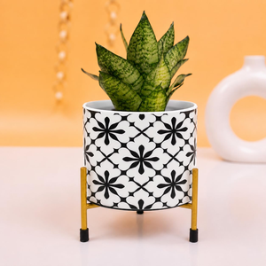 Maceta de Terracota con Diseño de Corazón Rosa Pálido, Hecha a Mano, Decorativa, con Orificio de Drenaje para Plantas de Interior, Sala de Estar - Product Image 6