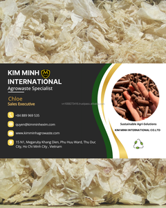 Chitine naturelle de crevettes et de crabes du Vietnam pour applications industrielles, en vrac, à prix compétitif - Product Image 6