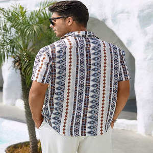 Chemises en coton à manches longues et col rabattu pour hommes, chemise décontractée en lin, chemises habillées formelles d'affaires de haute qualité - Product Image 3