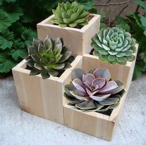 Versatile Wooden Flower <b>Planter</b> <b>Box</b>: Perfect for Plants, Toys, and Gifts! - Product Image 2