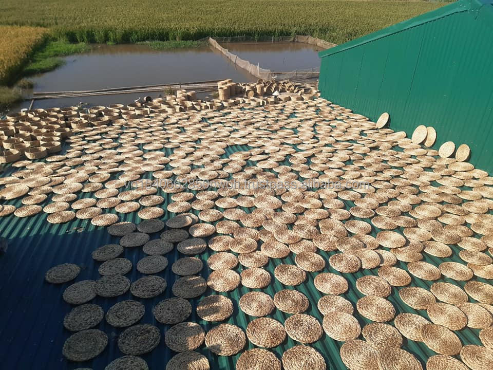 ธรรมชาติ