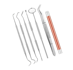 Juego de 6 instrumentos quirúrgicos dentales con espejo, pinzas y estuche, herramientas manuales con agarre estriado plateado, clase I - Product Image 2