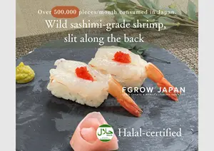 Camarón único al por mayor marisco comercial congelado Camarón salvaje sushi