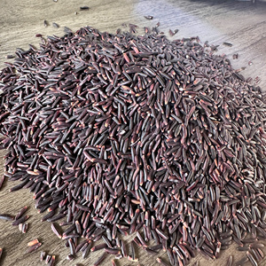 Service OEM Riz Noir Sain et Biologique du Fournisseur Vietnamien Disponible Prêt à l'Exportation Meilleure Qualité - Product Image 1