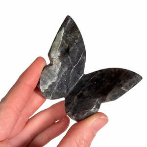 Mariposa de cristal de alta calidad con alas de iolita azul y piedra curativa, mariposa tallada en 3D y decoración para el hogar. - Product Image 2