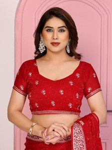 Ropa Étnica, Sari de Seda con Bordado Intenso, Diseño de Borde Elegante, Hermosas Combinaciones de Colores para Fiestas Tradicionales - Product Image 3