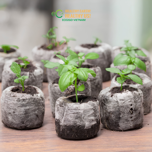 Coir Jiffies, substrat naturel inodore pour la germination des graines, avec filet biodégradable et facilitant le repiquage, ECO2GO VIETNAM - Product Image 4