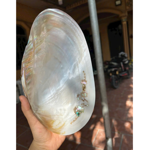 Premium Wholesale Yellow/<b>White</b> Shell Jewelry Tray with Elegant Gold Accents and Authentic Vietnamese Craftsmanship - Product Image 3