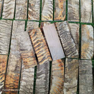 Escamas de cuerno de carnero blanco premium, 100% material real para mangos de cuchillos a precio económico. - Product Image 4