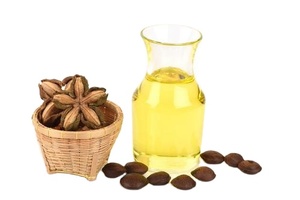 Huile de Sacha Inchi Pure Bio pour Cosmétiques et Massage, Huile de Graine de Plukenetia Volubilis pour la Croissance Capillaire - Meilleure Vente - Product Image 2
