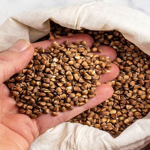 Sarrasin décortiqué certifié en gros / Grains de sarrasin biologique / Graines de sarrasin - Product Image 5