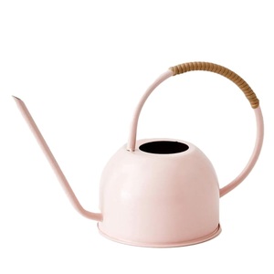 Arrosoir en métal très vendu pour l'entretien des plantes de jardin, pot à eau durable avec long bec verseur, taille et couleur personnalisables - Product Image 1