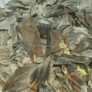 Nourriture naturelle pour animaux de compagnie Oreilles de buffle séchées pour chien Nourriture pour animaux de compagnie 100% naturelle et énergisante Nourriture pour chien Agate - Product Image 2