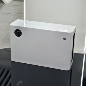 Paquete de Baterías de 10Kwh, 48V, 50Ah, 100Ah, 150Ah, 200Ah, Batería Solar de Iones de Litio Lifepo4 para Sistemas Fotovoltaicos - Product Image 6