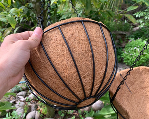 Pot en fibre de coco écologique pour jeunes plantes, semis et décoration moderne des espaces verts - Product Image 6