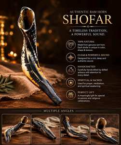 Cuerno de Shofar Grande Auténtico, Estilo Yemení, Kosher, Cuerno de Carnero, Judaica, Forma Natural Negra, Artículo Decorativo - Product Image 3