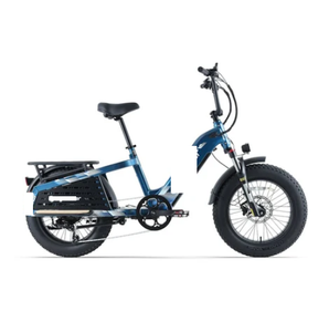 Nueva Bicicleta Eléctrica de Carga C-yrusher G-lider con Neumáticos Anchos, Precio de Fábrica, Envío Gratuito a Todo el Mundo - Product Image 1