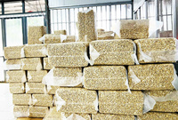 Vietnamese Biologische Natuurlijk Geroosterde Cashewnoten - Topkwaliteit W320 - Knapperige Snacks - Groothandelslevering - Fabrieksprijs
