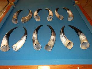 Par de Cuernos de Búfalo Pulidos para Decoración de Pared, Diseño Art Deco, Grandes de 27 a 35 Pulgadas, para Bodas, Cumpleaños, Aniversarios - Product Image 4