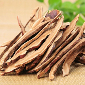 Venta al por Mayor de Hongos Reishi Rojos / Ganoderma Lucidum – Rodajas Secas, Polvo, Empaque OEM Disponible - Product Image 5