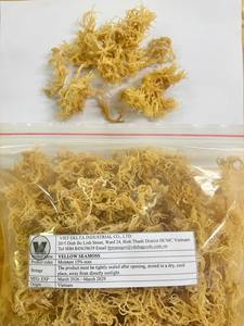 Musgo Marino Natural de Alta Calidad para la Industria Alimentaria, Cosmética y Bebidas, Materia Prima, Venta al Por Mayor, Exportación - Product Image 2