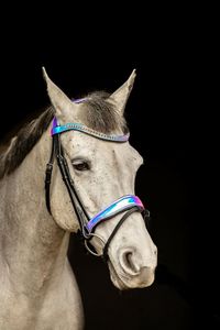 Têtière en cuir holographique avec sangles noires, confortable et réglable, avec frontal zigzag, de haute qualité pour l'équitation - Product Image 2