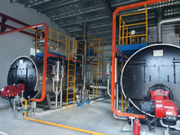 Chaudière à vapeur industrielle automatique à gaz ou à mazout avec contrôle intelligent PLC, capacité 1-15 tonnes