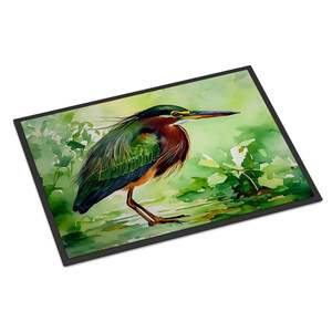 Paillasson Green Heron antidérapant lavable à poils bas 24H X 36W tapis d'entrée intérieur et extérieur pour porte d'entrée - Product Image 1