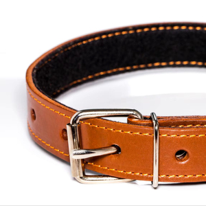 Collar de cuero para perros de la serie Signature, producto para mascotas de calidad de exportación de Divine International India - Product Image 1