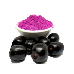 Polvo seco de Jamun congelado de grado A al por mayor, extracto de fruta pura con aroma natural, corteza extraída con disolvente para envasado de alimentos saludables