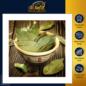 Feuilles de Laurier Naturelles Premium pour la Cuisine Quotidienne et l'Usage Culinaire Professionnel - Product Image 2