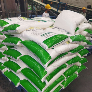 Glutamato Monosódico Marca Fufeng, MSG al Mejor Precio, Grado Alimenticio FIC, Bolsa de 25 kg, Malla 40, 60, 80, 99% de Pureza, Halal - Product Image 2