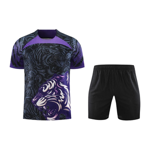 Maillots de football Behram International en promotion – Ensemble personnalisable avec logo, 100 % polyester respirant, impression par transfert thermique, séchage rapide - Product Image 6