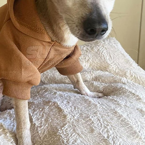 Sweat à capuche pour chien élégant, simple, de haute qualité, doux, chaud, respirant, en coton et polyester, vêtement d'hiver 2026 - Product Image 4