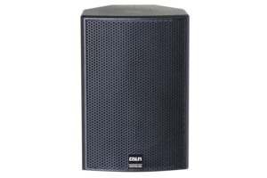 Haut-parleur PA passif professionnel 2 voies de 10 pouces, 200 W RMS, 800 W de crête, 107 dB Sens. Haut-parleur 8 Ohm 90x90 avec boîtier en MDF de 15 mm pour scène et église - Product Image 4
