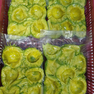 Avocat en dés surgelé IQF naturel du Vietnam pour la préparation de smoothies crémeux et les garnitures de salades fraîches de 99 Gold Data Supply - Product Image 2