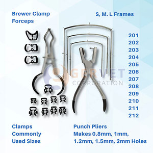 Instrumentos Dentales Manuales de Acero Inoxidable Duradero para Dique de Goma - Equipo Médico Reutilizable de Alta Calidad - Product Image 5