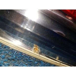 ไฟท้ายขวามือสอง ซีรีส์ 7 รุ่น 155514 - Product Image 4