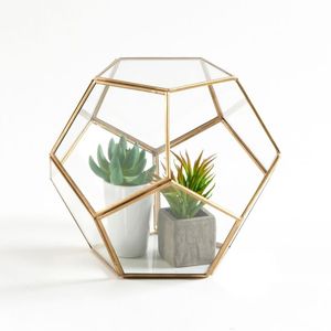 Juego de 2 terrarios personalizados de metal y vidrio, macetero moderno de vidrio para plantas de interior, suculentas, plantas aéreas y terrarios DIY - Product Image 2